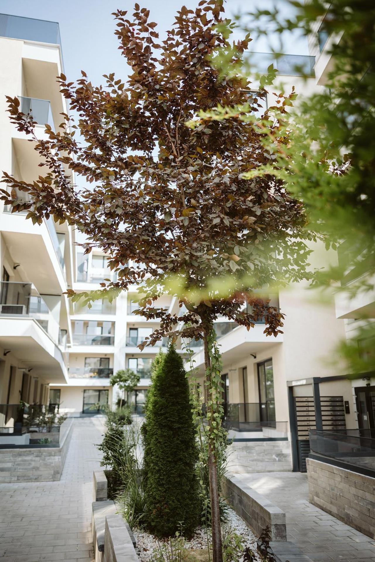 Dec Apartments Bucarest Extérieur photo
